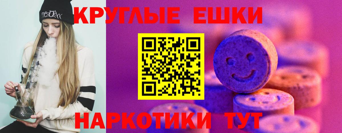 ЭКСТАЗИ Philipp Plein  Ecstasy бентли  Экстази  Бирск  Вход с VPN 