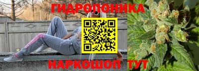 PSILOCYBIN Вязьма