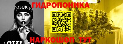 гашик Вышний Волочёк