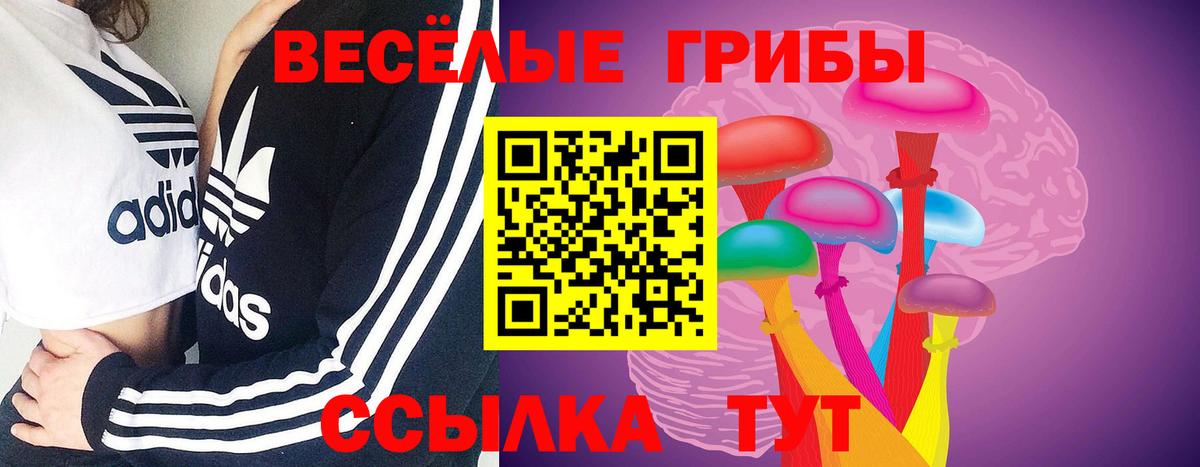 Псилоцибиновые грибы GOLDEN TEACHER Бирск